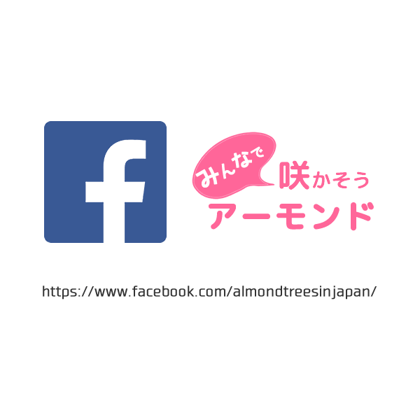 みんなで咲かそうアーモンド
