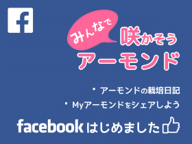 咲かそうアーモンド