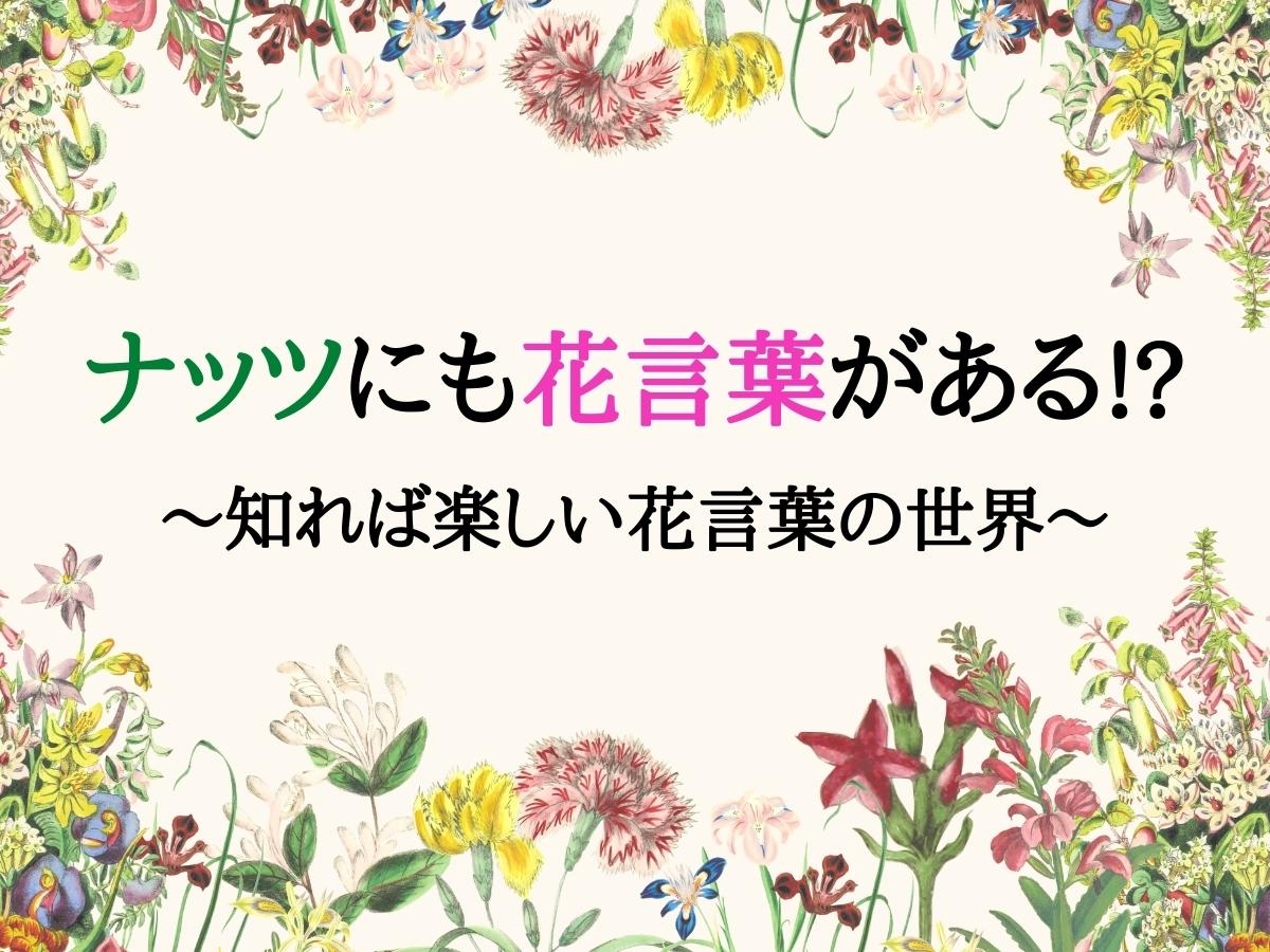 ナッツにも花言葉がある 知れば楽しい花言葉の世界 ナッツの情報サイト Ton S Cafe トンカフェ